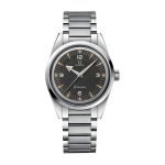 Omega Seamaster Railmaster Steel 220.10.38.20.01.002 Masterpiece Replica
